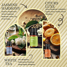 Waterless Rechargeable Scent